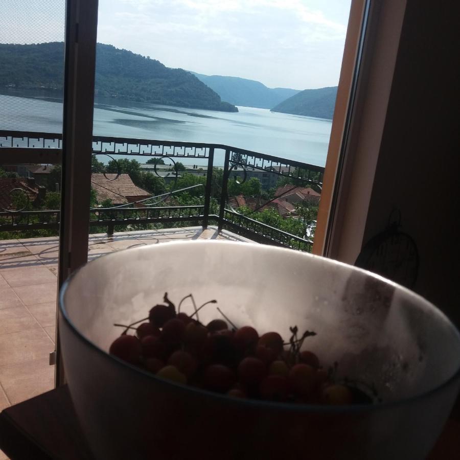 Orşova Casa Lui Marcヴィラ エクステリア 写真