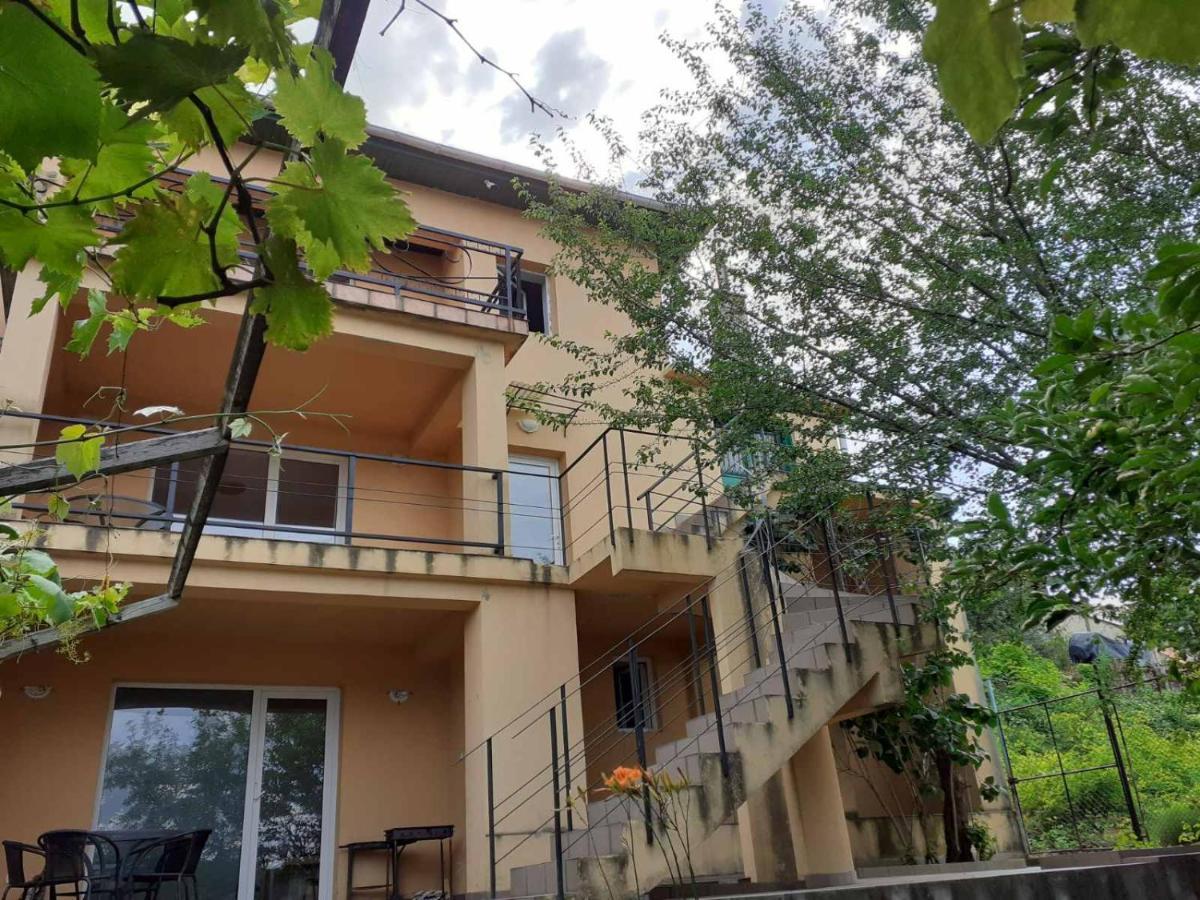 Orşova Casa Lui Marcヴィラ エクステリア 写真