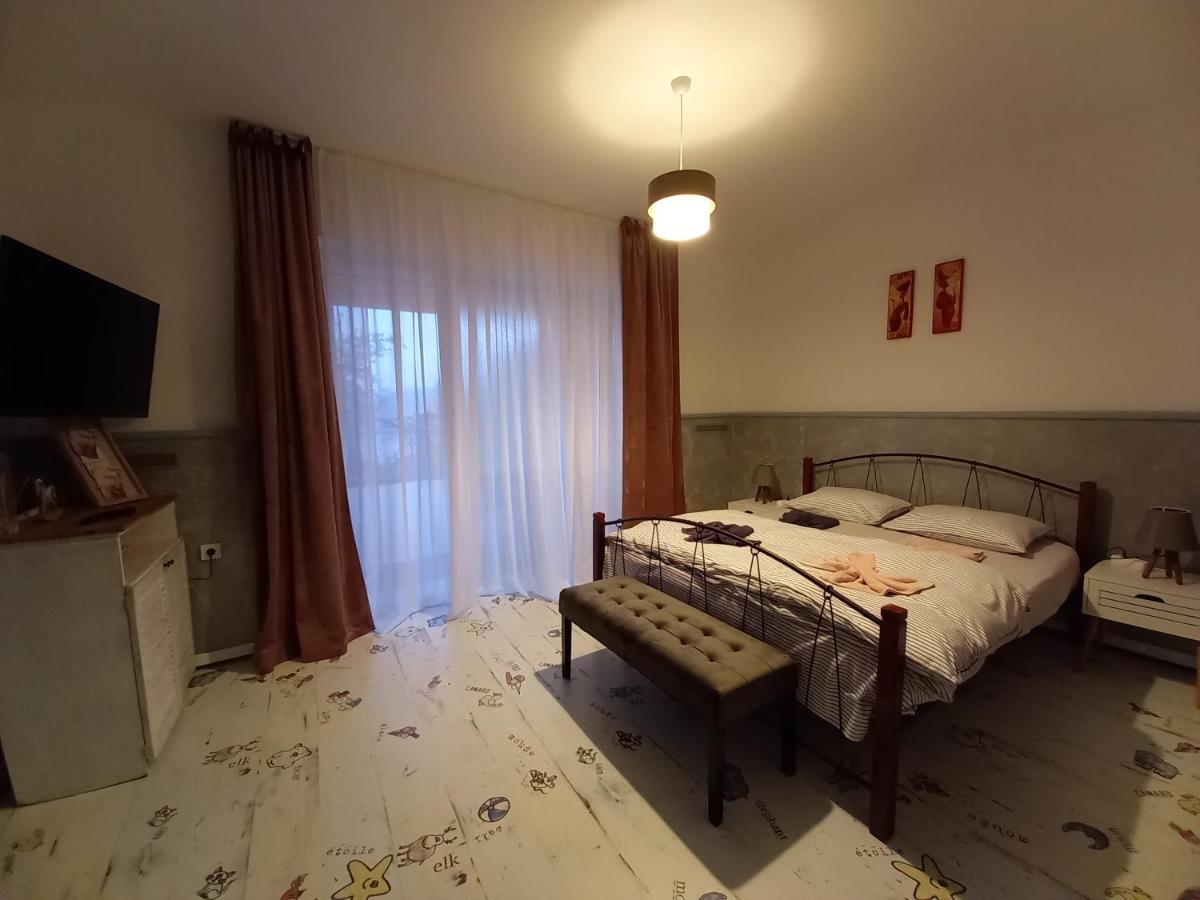 Orşova Casa Lui Marcヴィラ エクステリア 写真