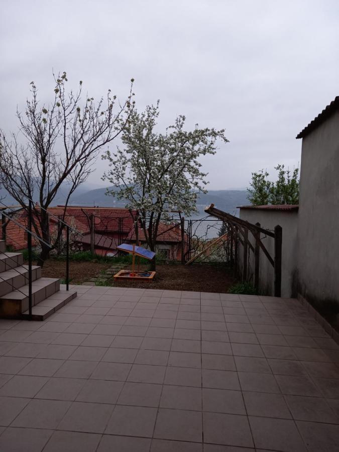 Orşova Casa Lui Marcヴィラ エクステリア 写真