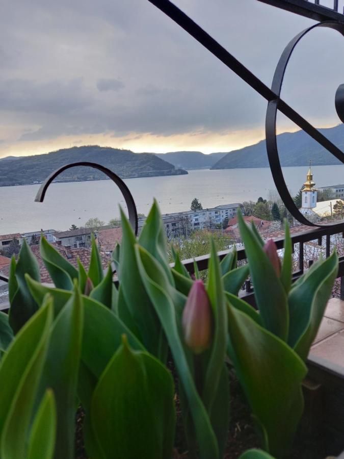 Orşova Casa Lui Marcヴィラ エクステリア 写真