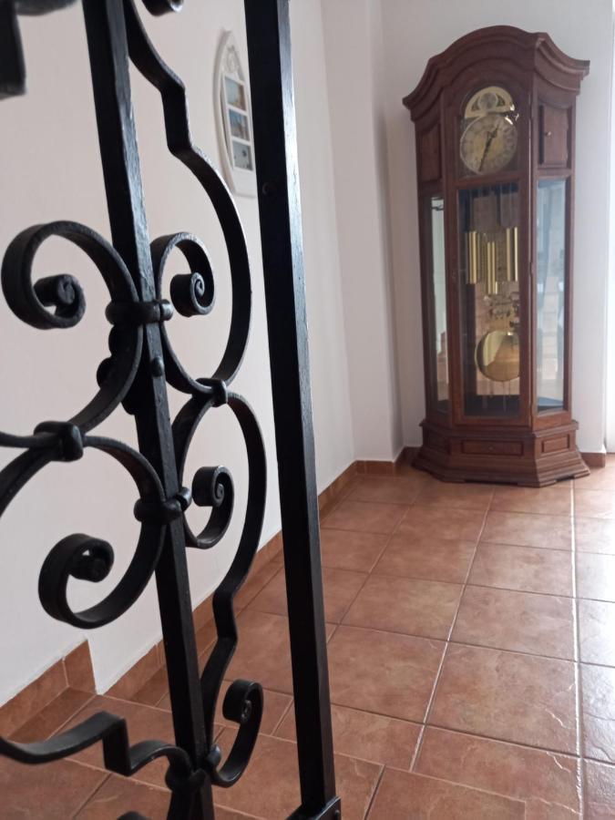 Orşova Casa Lui Marcヴィラ エクステリア 写真